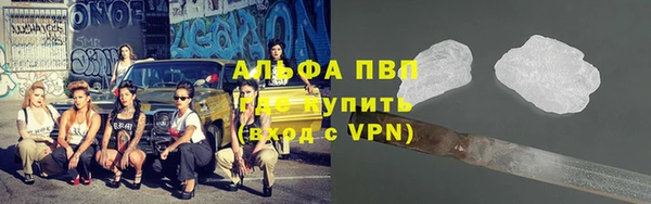 apvp Новозыбков
