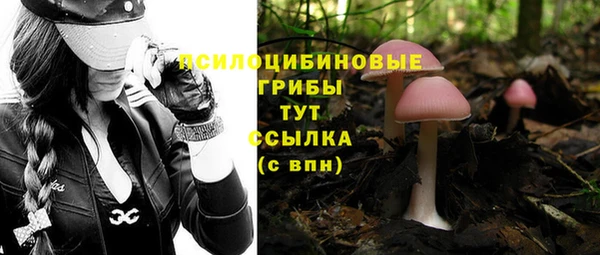 гашиш Нязепетровск