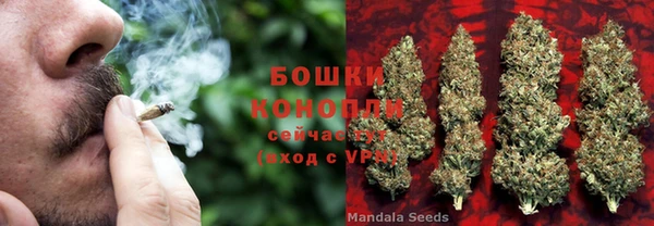 ГАЛЛЮЦИНОГЕННЫЕ ГРИБЫ Новодвинск