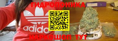 PSILOCYBIN Аргун