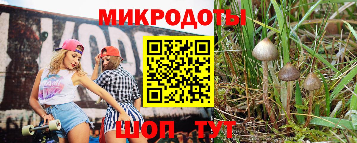 Псилоцибиновые грибы MAGIC MUSHROOMS  Вход с VPN  Сарапул 